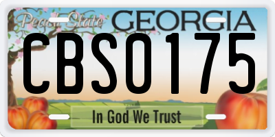 GA license plate CBS0175