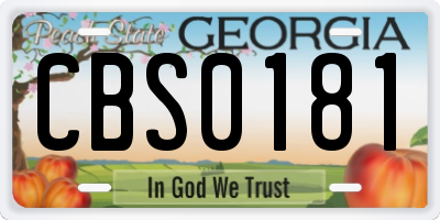 GA license plate CBS0181
