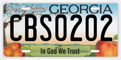 GA license plate CBS0202