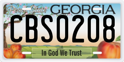 GA license plate CBS0208
