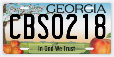 GA license plate CBS0218