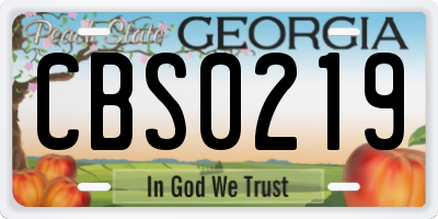 GA license plate CBS0219