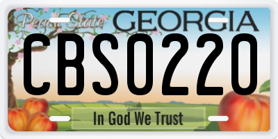 GA license plate CBS0220