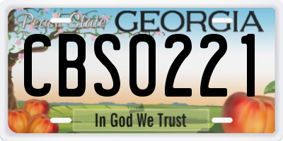 GA license plate CBS0221