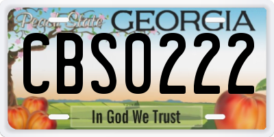 GA license plate CBS0222
