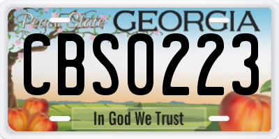 GA license plate CBS0223