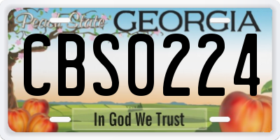 GA license plate CBS0224