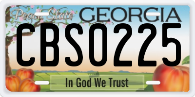 GA license plate CBS0225