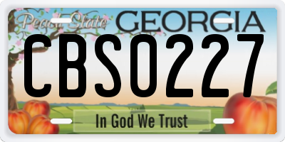 GA license plate CBS0227