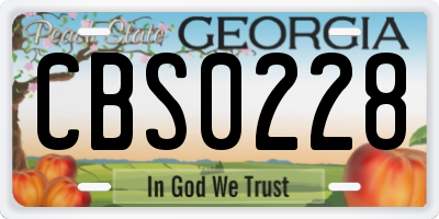 GA license plate CBS0228