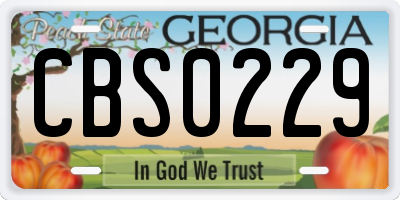 GA license plate CBS0229