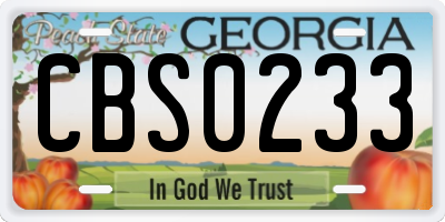 GA license plate CBS0233