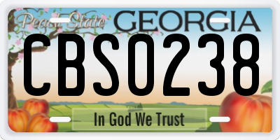 GA license plate CBS0238