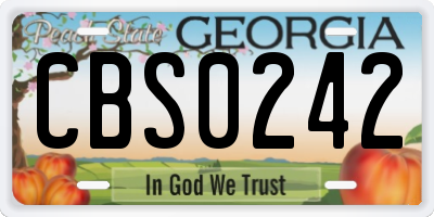GA license plate CBS0242
