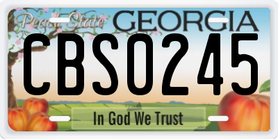 GA license plate CBS0245