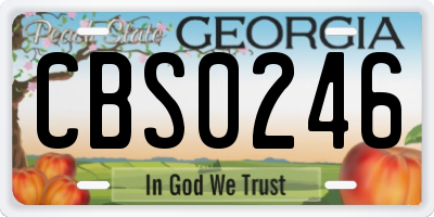 GA license plate CBS0246