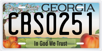 GA license plate CBS0251