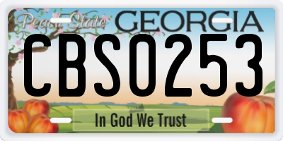 GA license plate CBS0253