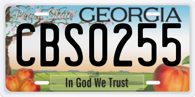 GA license plate CBS0255