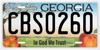 GA license plate CBS0260