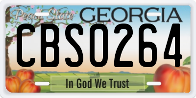 GA license plate CBS0264