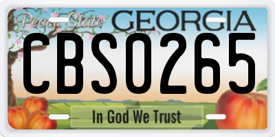 GA license plate CBS0265