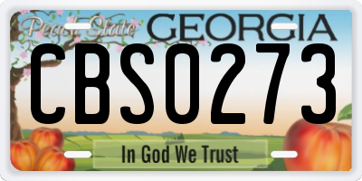 GA license plate CBS0273
