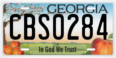 GA license plate CBS0284