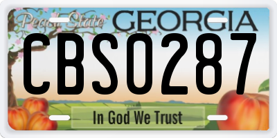 GA license plate CBS0287