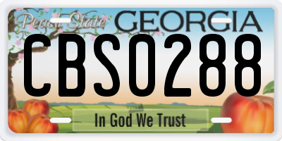 GA license plate CBS0288