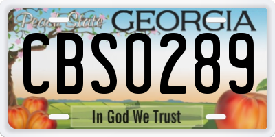 GA license plate CBS0289