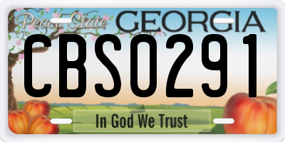 GA license plate CBS0291