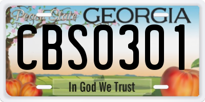 GA license plate CBS0301