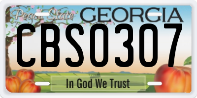GA license plate CBS0307
