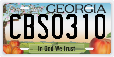 GA license plate CBS0310