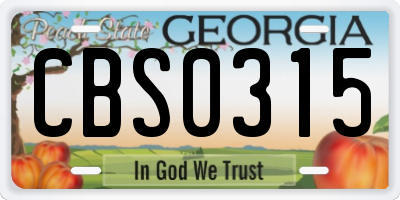 GA license plate CBS0315