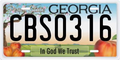 GA license plate CBS0316