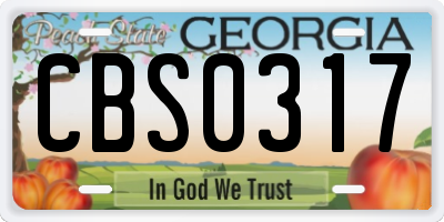 GA license plate CBS0317