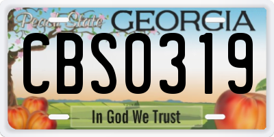 GA license plate CBS0319