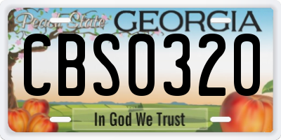 GA license plate CBS0320