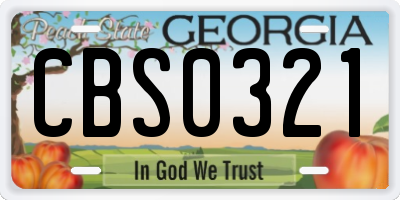 GA license plate CBS0321