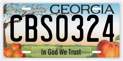 GA license plate CBS0324