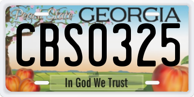 GA license plate CBS0325