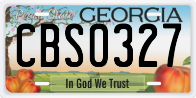 GA license plate CBS0327