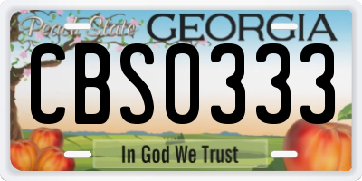 GA license plate CBS0333