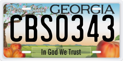 GA license plate CBS0343