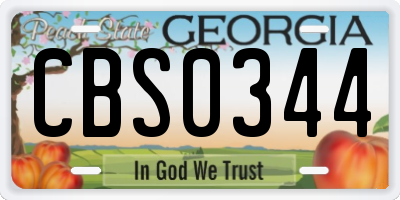 GA license plate CBS0344
