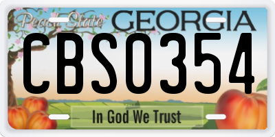 GA license plate CBS0354