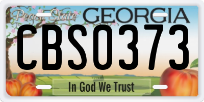 GA license plate CBS0373