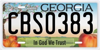 GA license plate CBS0383